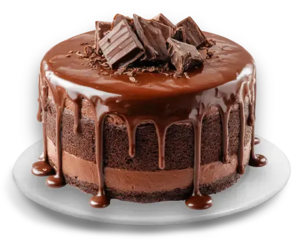 Torta de chocolate con ganache